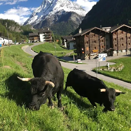 Apartmán Immeuble Mont Noble *